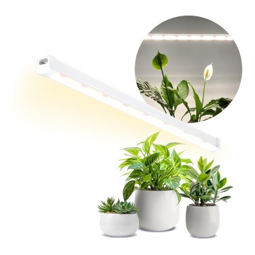 LED Onder keukenkast verlichting voor het kweken van planten GROWLY LED/15W/230W