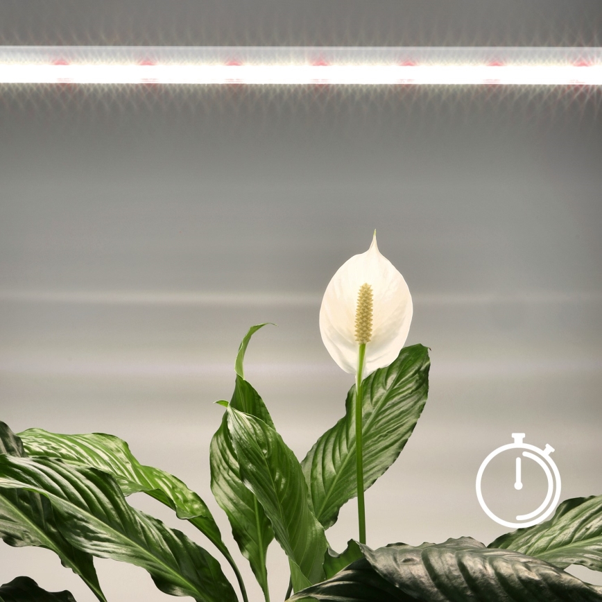 LED Onder keukenkast verlichting voor het kweken van planten GROWLY LED/15W/230W