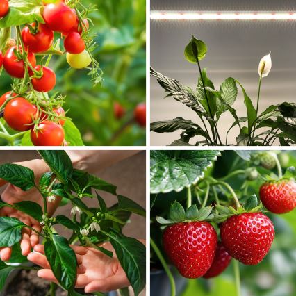 LED Onder keukenkast verlichting voor het kweken van planten GROWLY LED/15W/230W