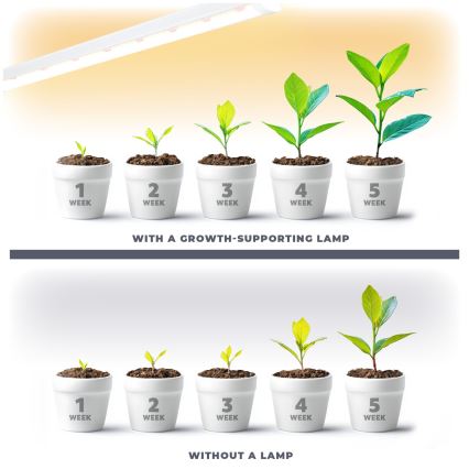 LED Onder keukenkast verlichting voor het kweken van planten GROWLY LED/15W/230W