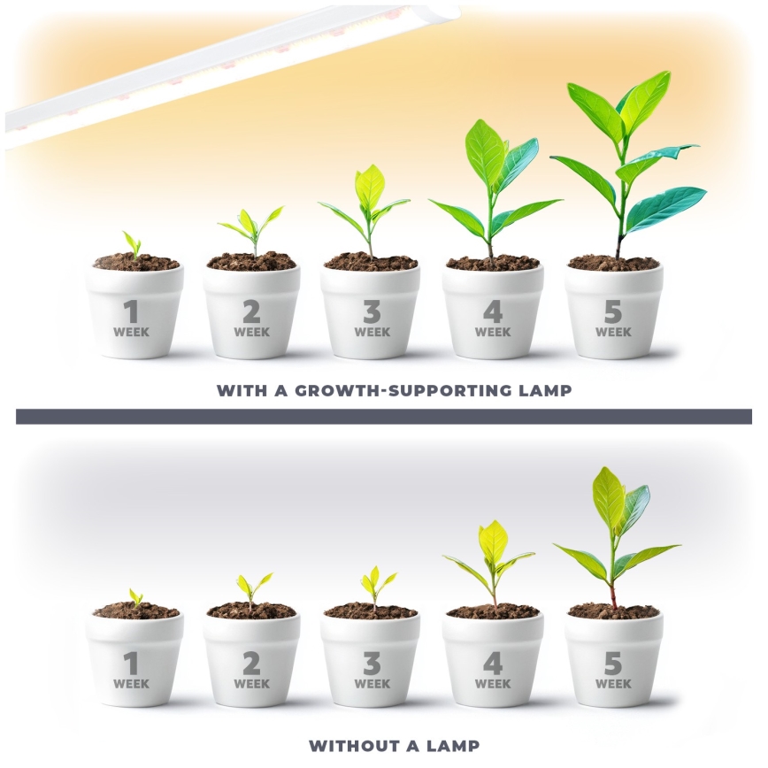 LED Onder keukenkast verlichting voor het kweken van planten GROWLY LED/15W/230W