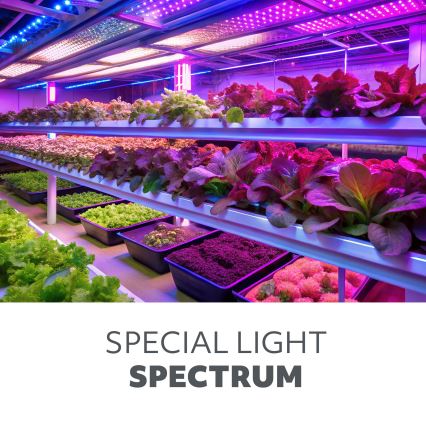 LED Onder keukenkast verlichting voor het kweken van planten GROWLY LED/15W/230W