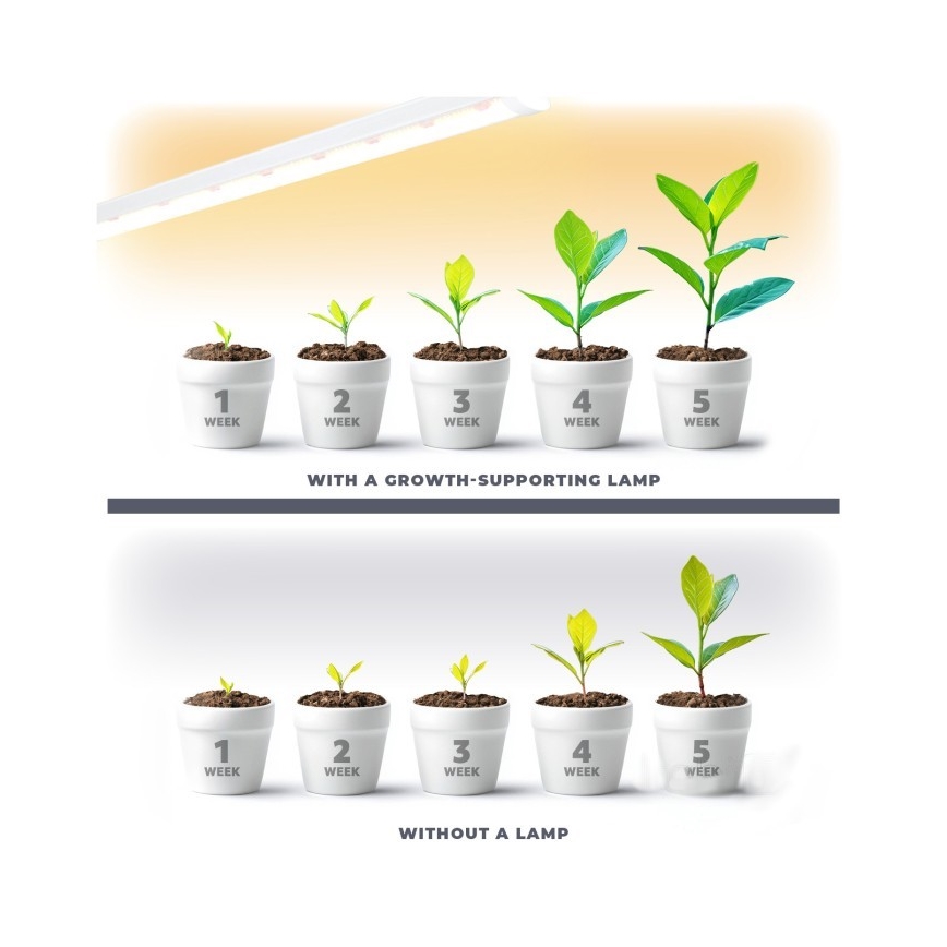 LED Onder keukenkast verlichting voor het kweken van planten GROWLY LED/9W/230V wit