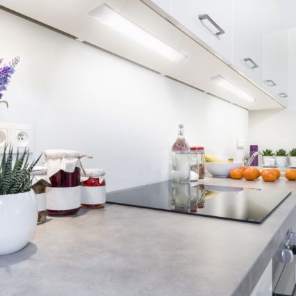 LED onderbouwarmatuur VIGA LED/14W/230V 3000K wit