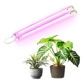 LED Onderbouwverlichting voor plantengroei GROWLY 2xLED/8,5W/230V wit