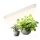 LED Onderbouwverlichting voor plantengroei GROWLY LED/9W/230V wit
