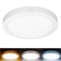 LED opbouw-/inbouwpaneel 2-in-1 24W/230V 3000/4000/6000K Ø 30 cm IP54 wit