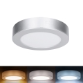 LED opbouw-/inbouwpaneel 2-in-1 LED/12W/230V 3000/4000/6000K Ø17cm IP54 zilver