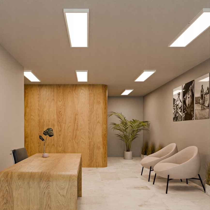 LED opbouwpaneel LED/60W/230V 30x120 cm wit