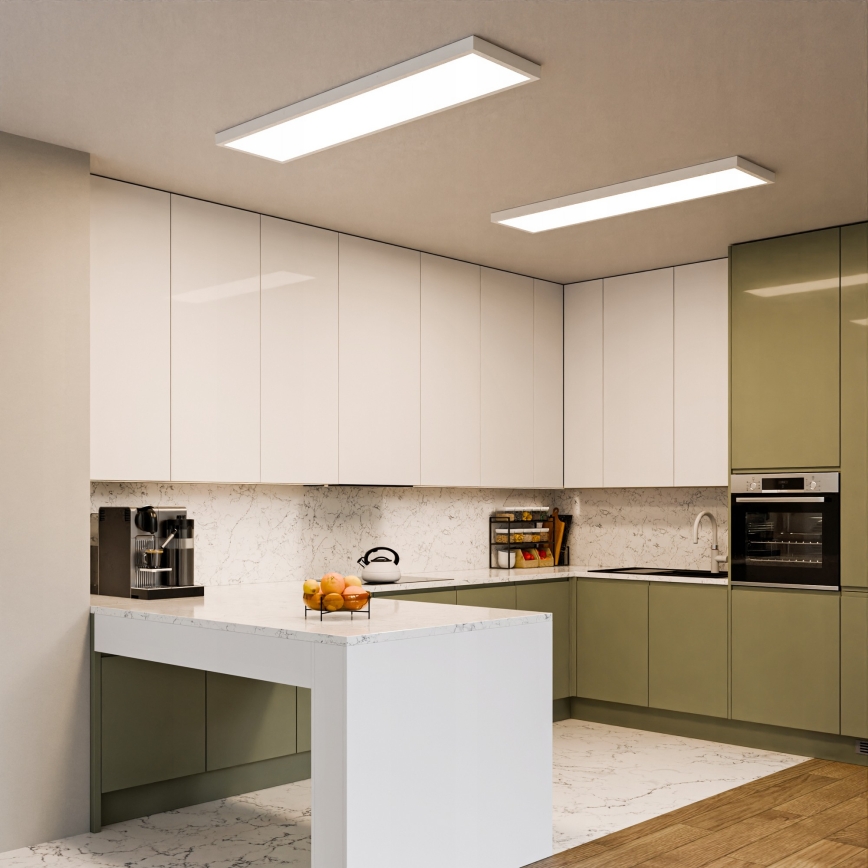 LED opbouwpaneel LED/60W/230V 30x120 cm wit