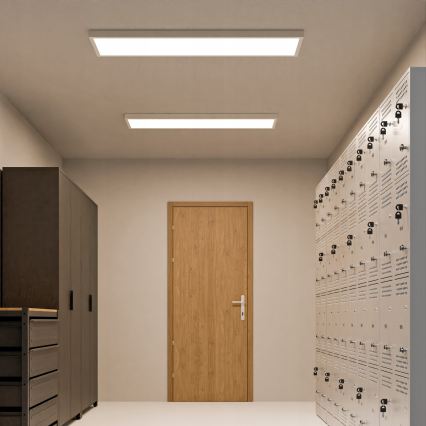 LED opbouwpaneel LED/60W/230V 30x120 cm wit