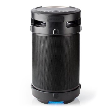 LED Oplaadbare speaker 210W/4400 mAh IPX5
