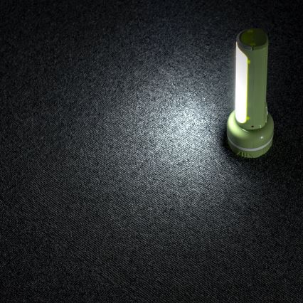 LED Oplaadbare zaklamp LED/1W/230V 330 lm 1000 mAh