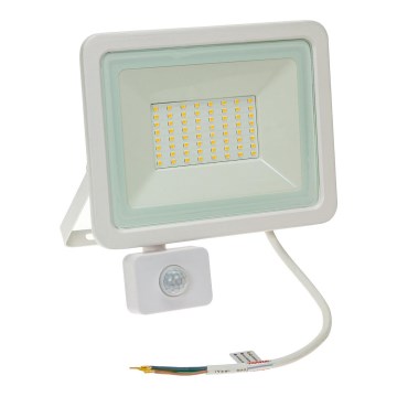 LED Outdoor floodlight with a sensor NOCTIS LUX 2 LED/50W/230V 4000K IP44 white