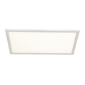 LED Paneel LED/24W/230V 4000K