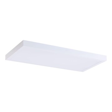 LED Paneel LED/36W/230V 4000K 30x60 cm wit