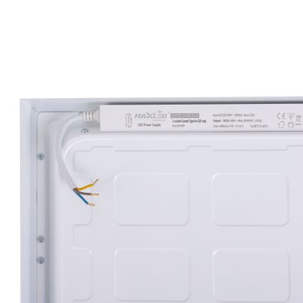 LED Paneel LED/36W/230V 4000K 30x60 cm wit