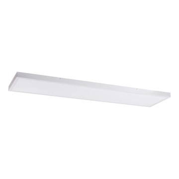 LED Paneel LED/60W/230V 4000K 30x120 cm wit