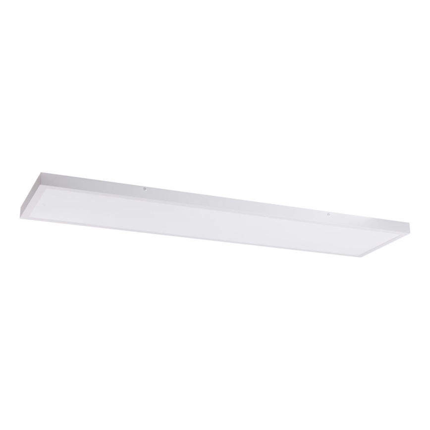LED Paneel LED/60W/230V 4000K 30x120 cm wit
