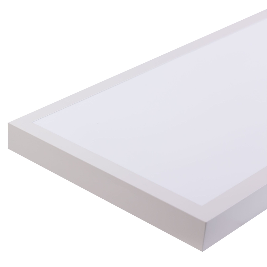 LED Paneel LED/60W/230V 4000K 30x120 cm wit