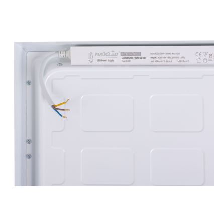 LED Paneel LED/60W/230V 4000K 30x120 cm wit