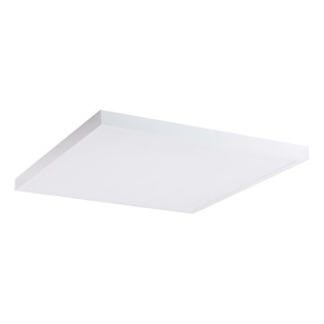 LED Paneel LED/60W/230V 4000K 60x60 cm wit