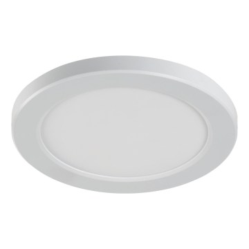 LED plafond-/inbouwarmatuur 2-in-1 ERGA LED/17W/230V 3000/4000/6500K wit