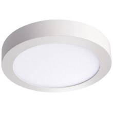 LED Plafond Lamp CARSA LED/18W/230V 3000K wit