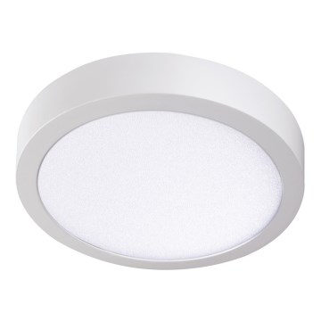 LED Plafond Lamp CARSA LED/24W/230V 4000K wit