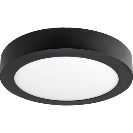 LED Plafond Lamp FENIX LED/12W/230V 3800K