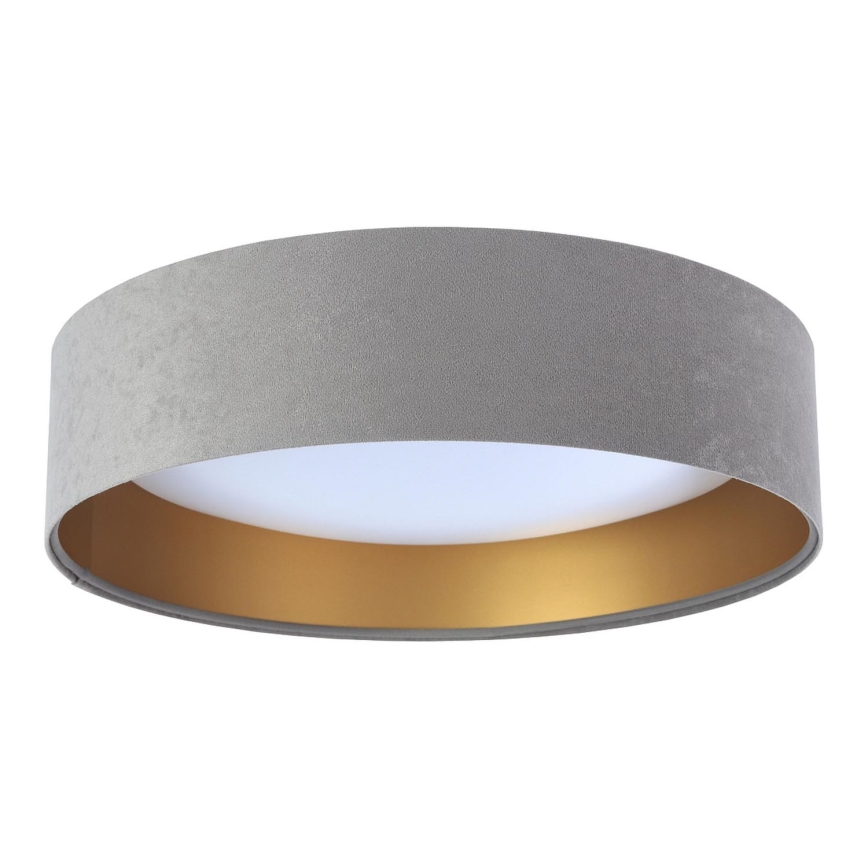 LED Plafond Lamp GALAXY 1xLED/24W/230V grijs/goud