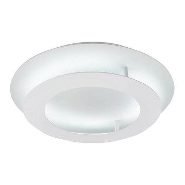 LED Plafond Lamp MERLE LED/18W/230V