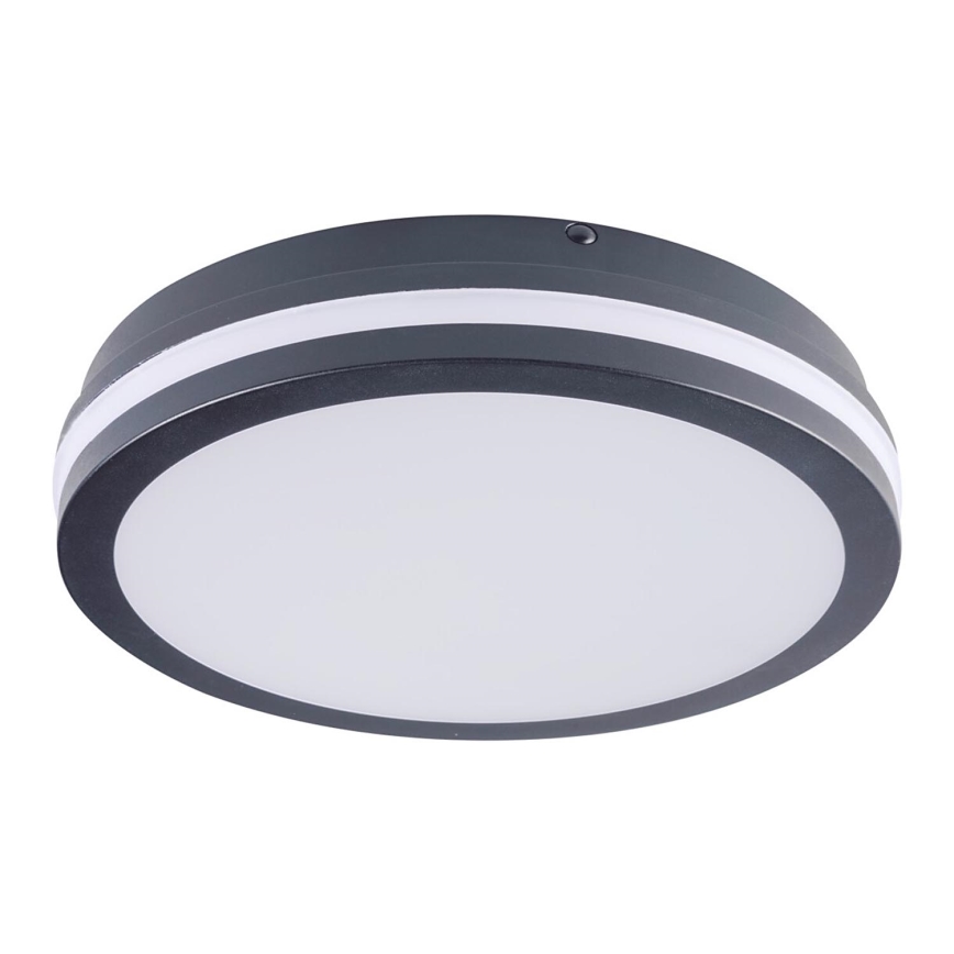 LED Plafond Lamp voor Buiten BENO LED/24W/230V 4000K antraciet IP54