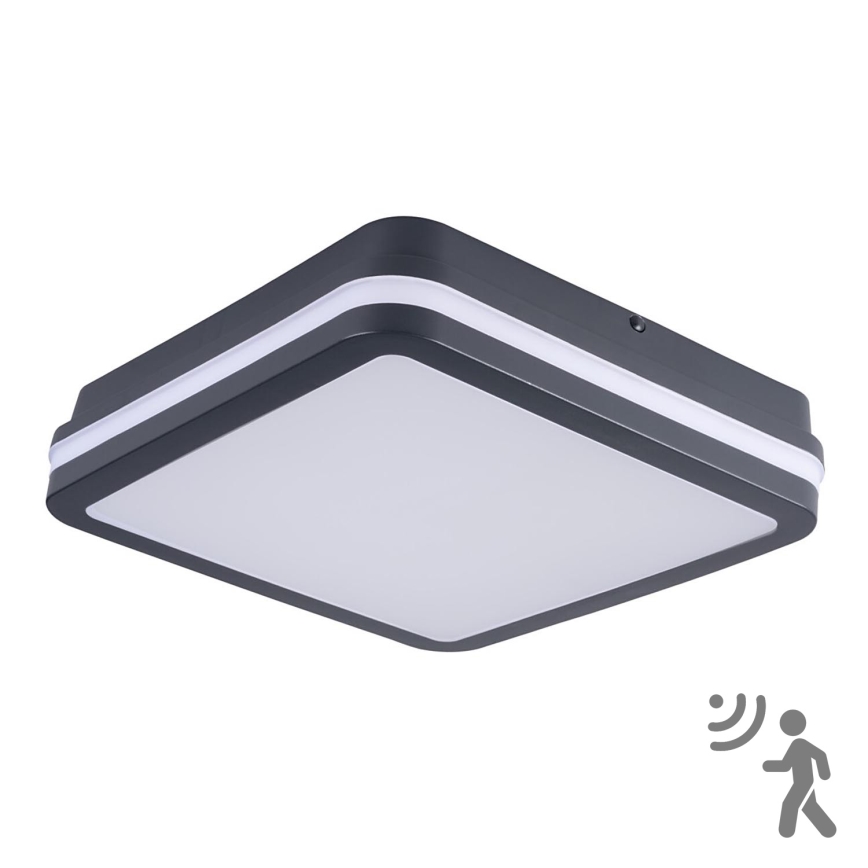 LED Plafond Lamp voor Buiten met Sensor BENO LED/24W/230V 4000K antraciet IP54