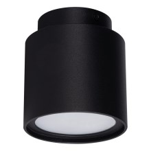 LED Plafond Spot SONOR 1xGU10/10W/230V + LED/4W zwart