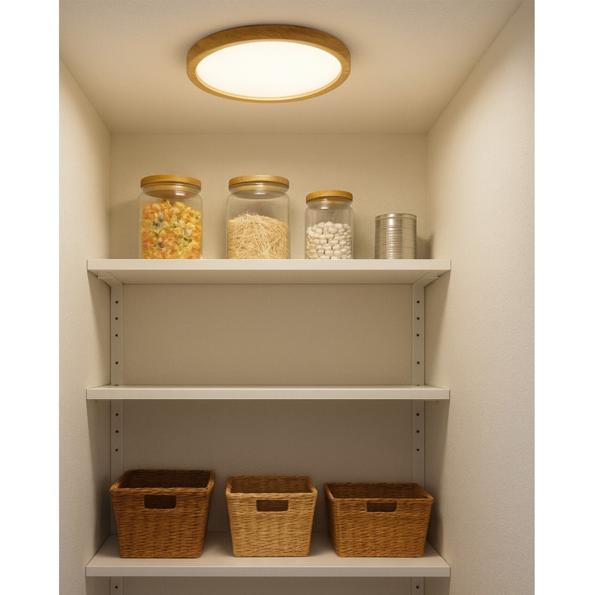 LED-plafondlamp 18W/230V 3000/4000/6500K Ø 23 cm beige