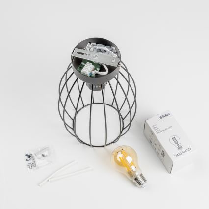 LED plafondlamp 1xE27/6,5W/230V zwart