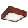 LED Plafondlamp 1xLED/12W/230V grenen - FSC gecertificeerd