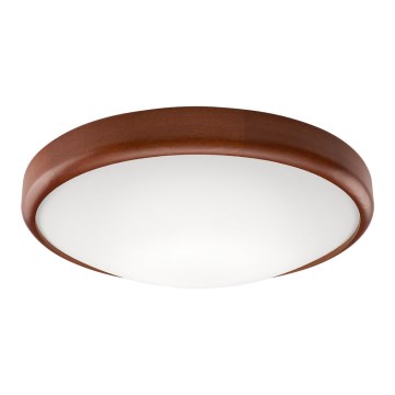 LED Plafondlamp 1xLED/24W/230V