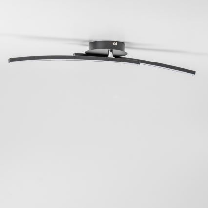 LED-plafondlamp 2xLED/6W/230V zwart