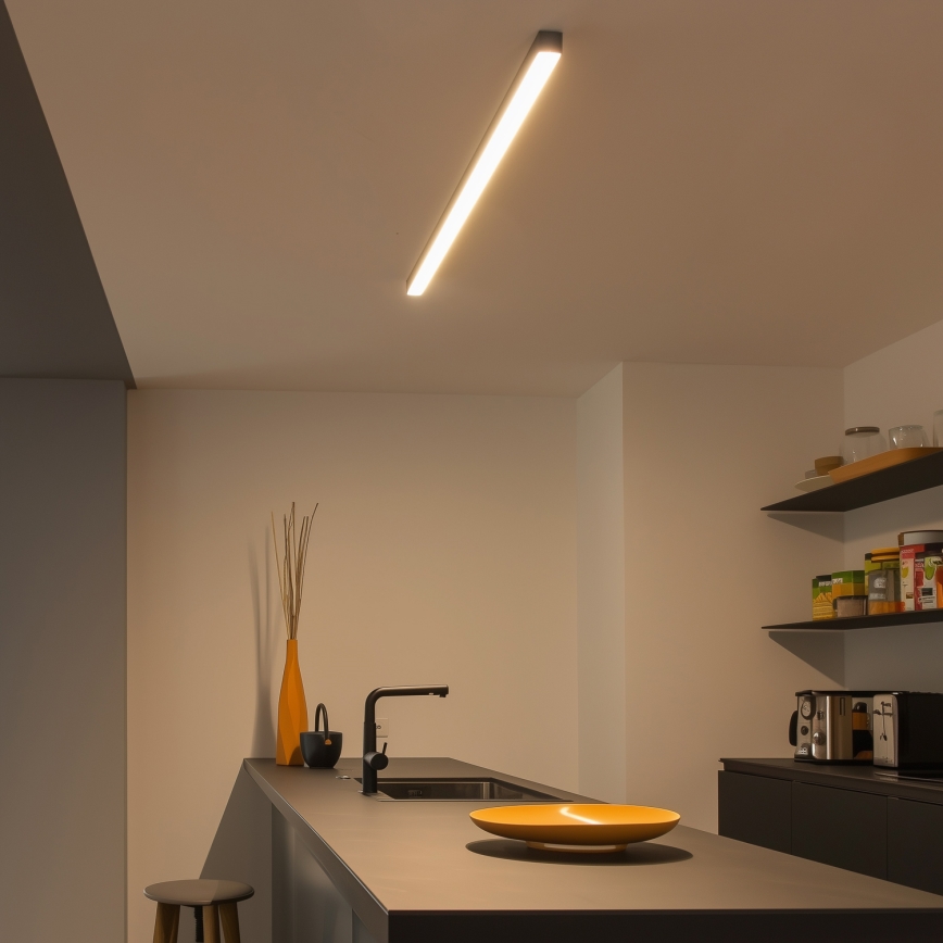 LED plafondlamp ALLDAY BASIC LED/20/30/40W/230V 2700/4000/6000K 120 cm zwart
