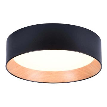 LED Plafondlamp ARENA LED/43W/230V