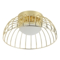 LED plafondlamp BETSY LED/12W/230V Ø 25 cm goudkleurig