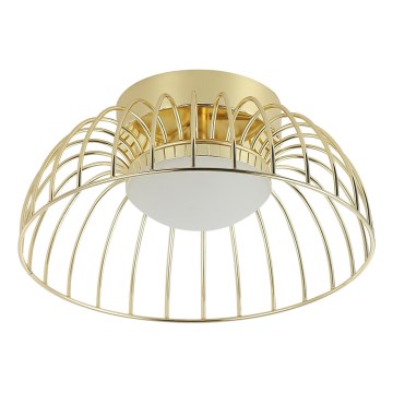 LED plafondlamp BETSY LED/12W/230V Ø 25 cm goudkleurig