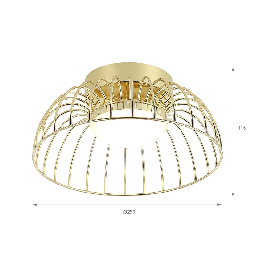 LED plafondlamp BETSY LED/12W/230V Ø 25 cm goudkleurig