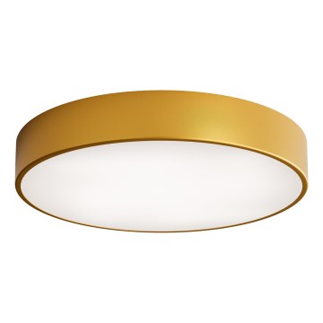 LED Plafondlamp CLEO LED/69W/230V 3000K Ø 50 cm goudkleurig