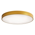 LED Plafondlamp CLEO LED/96W/230V 3000K diameter 80 cm goud