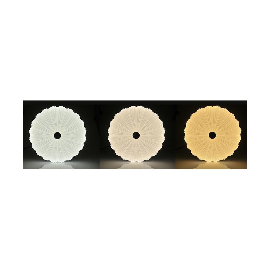 LED Plafondlamp dimbaar FLOWER LED/36W/230V + afstandsbediening