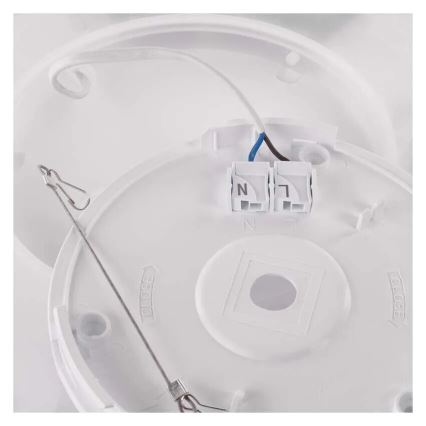 LED Plafondlamp FLORI LED/22W/230V 4000K zwart 42x42 cm