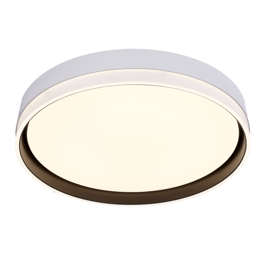 LED Plafondlamp FLORIDA LED/24W/230V wit